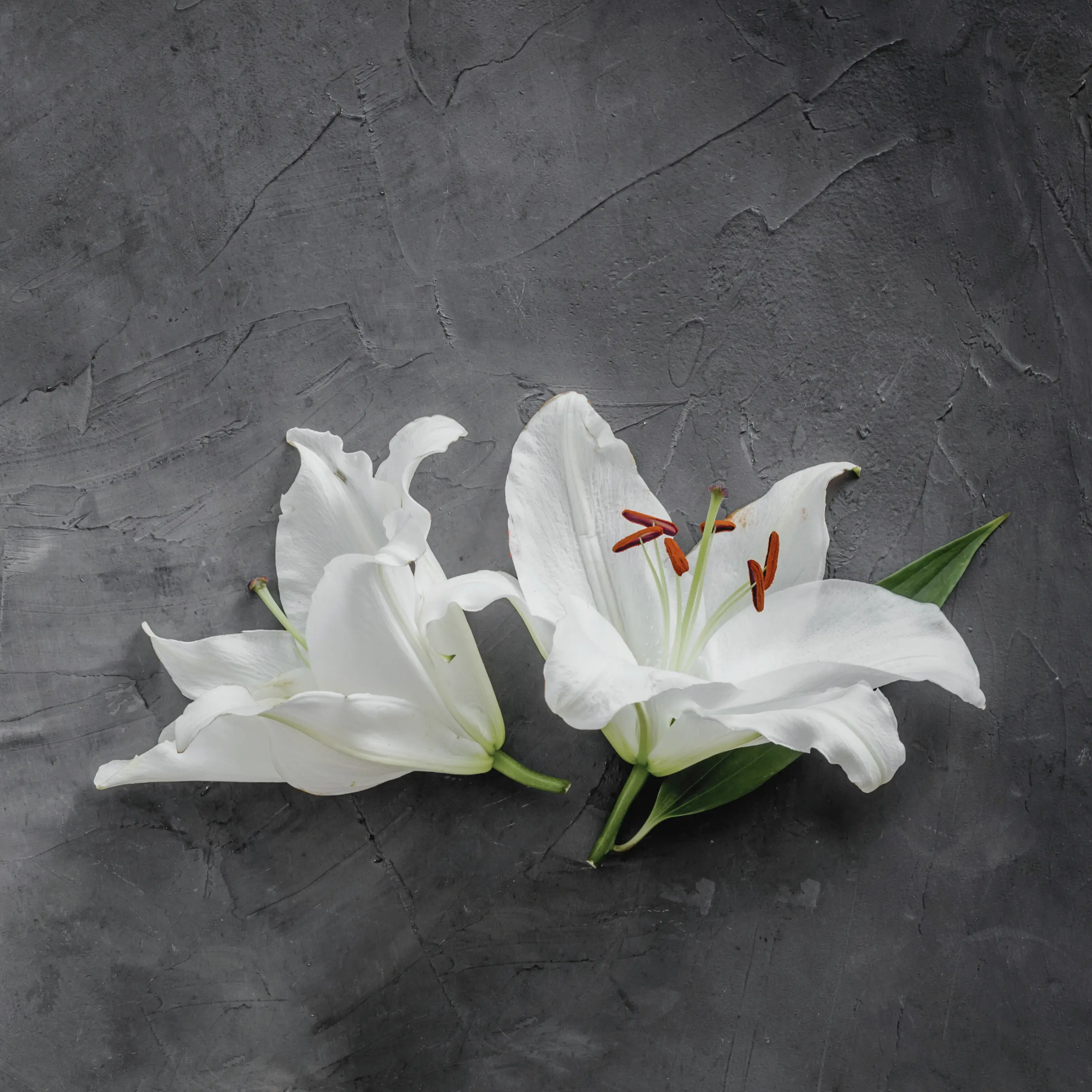 thanh-phan-ben-trong-huong-thom