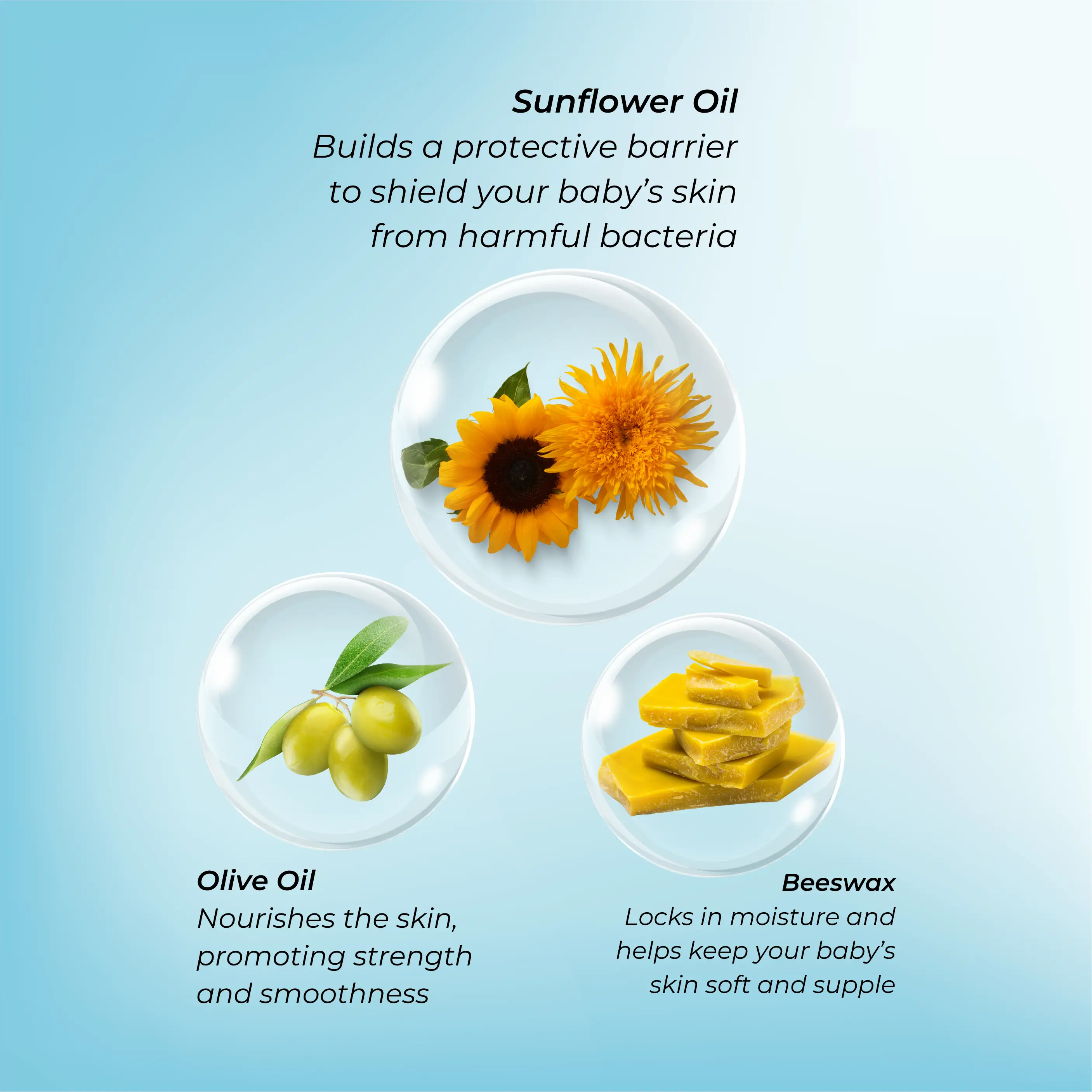 NOLEO 3-in-1 ingredients