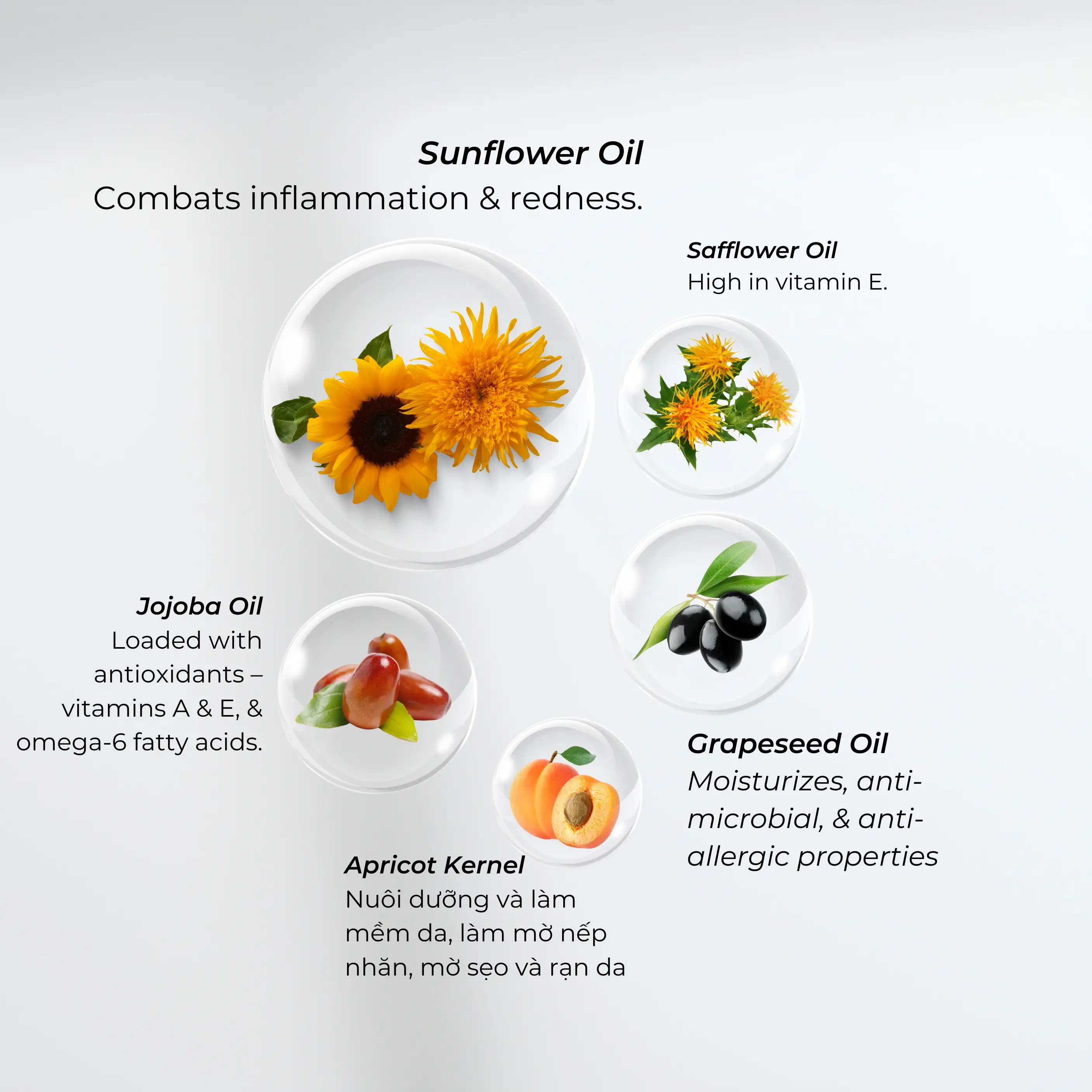NOLEO | noleo-organic-ingredients
