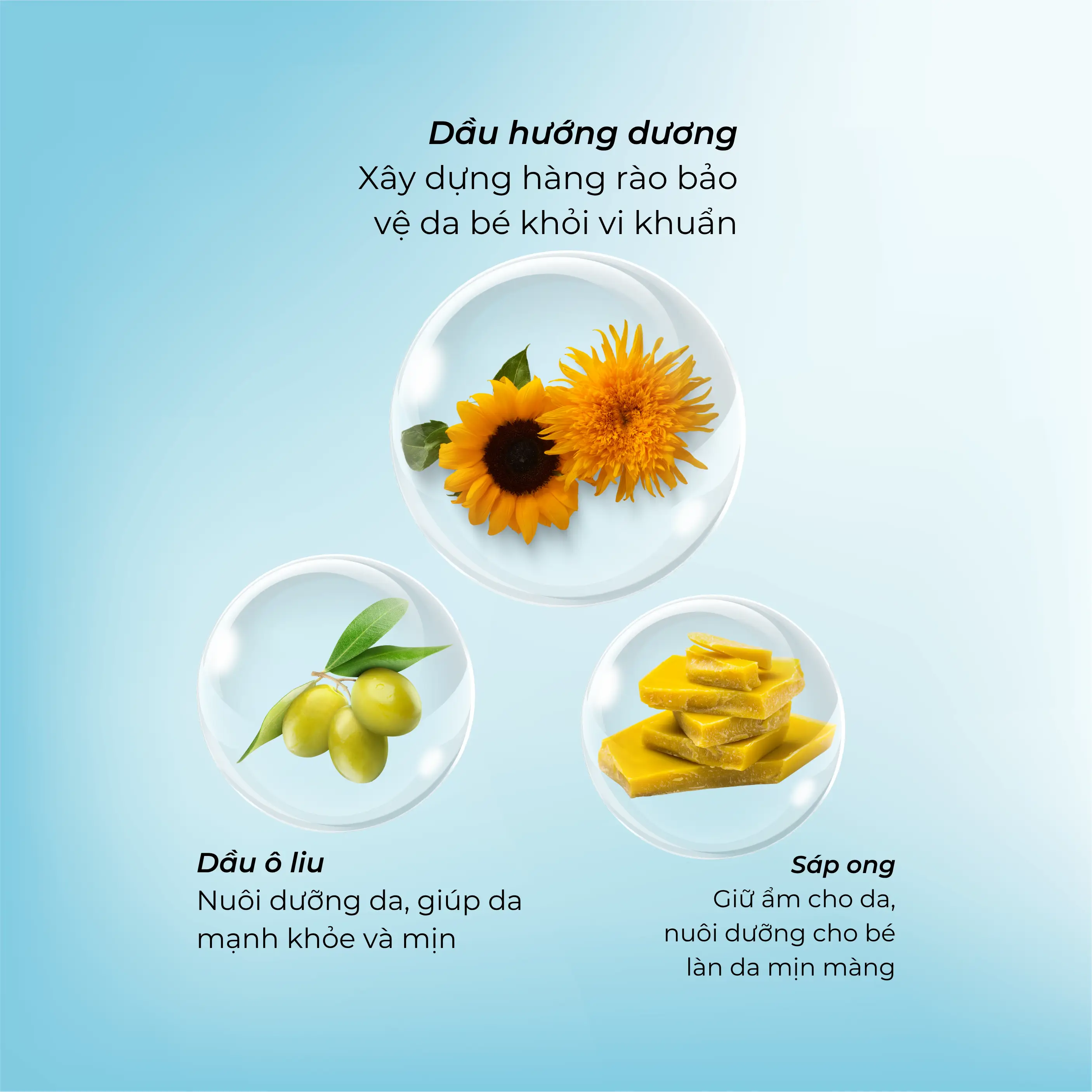 NOLEO | nhung-van-de-tam-li-de-gap-phai