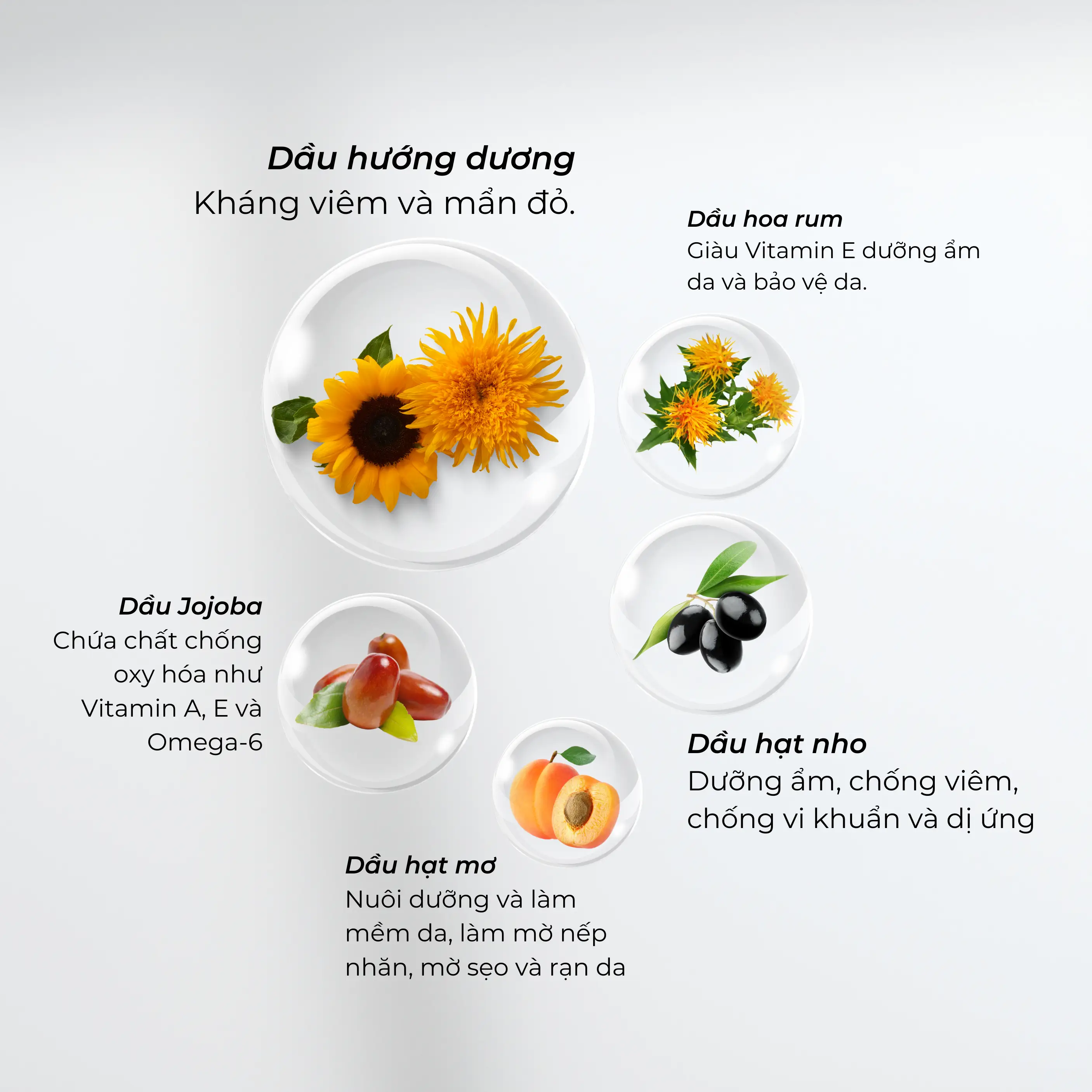 Noleo Body Oil thanh phan tu nhien