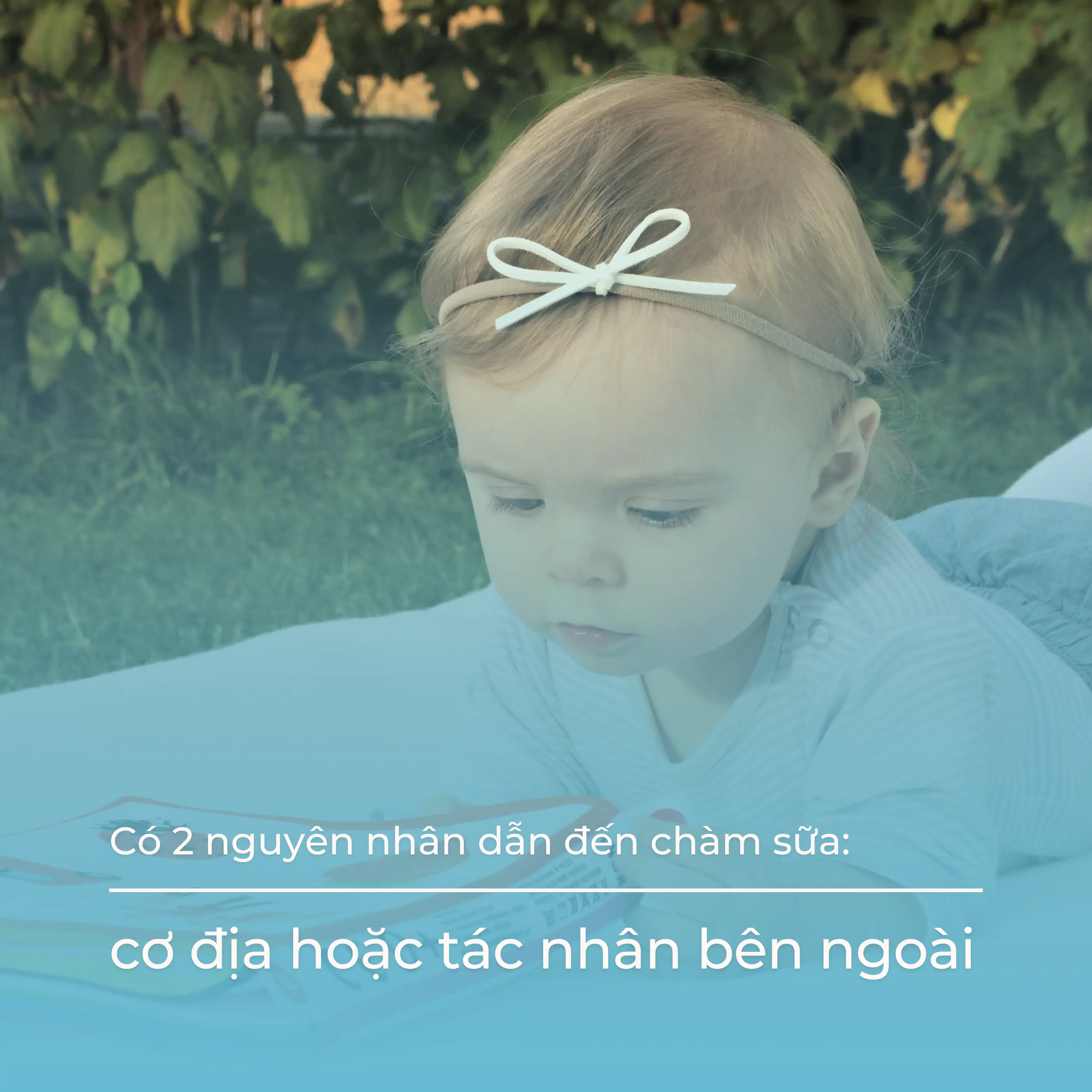 nguyen-nhan-be-bi-cham-sua-noleo"